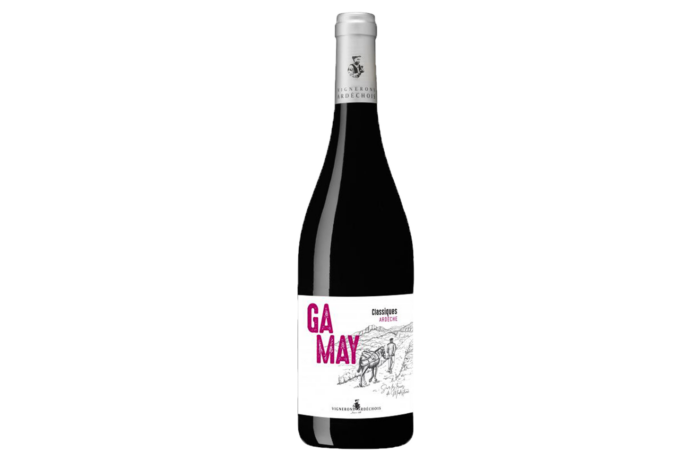 Gamay Modestine